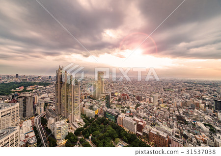 東京的天空 東京的天空 31537038