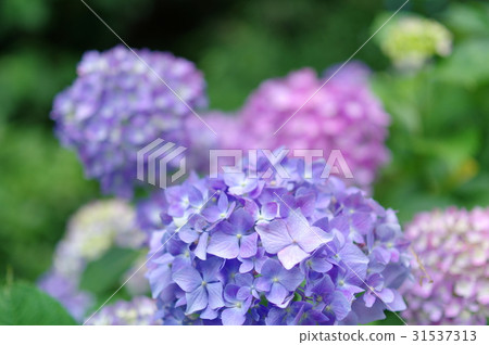 Better contrast of blue sky closer to colorful Better contrast of blue sky closer to colorful 31537313