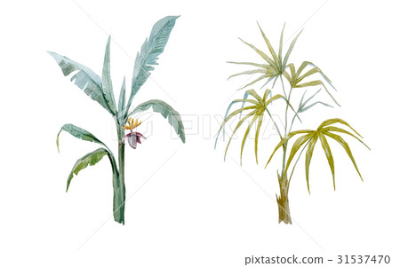 Watercolor vector hand drawn palms Watercolor vector hand drawn palms 31537470