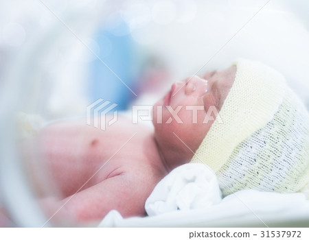 New born baby 31537972