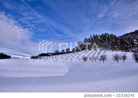雪景 雪景 31538145