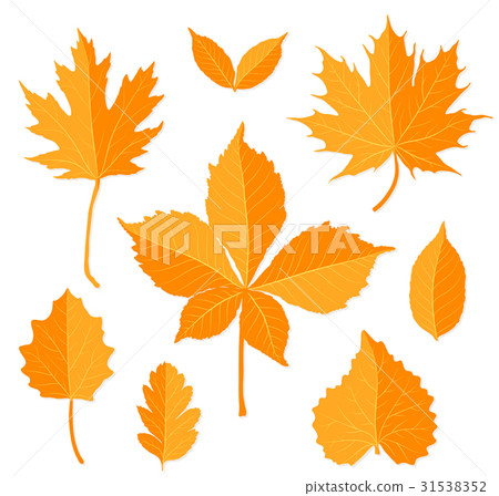 Autumn leaves set on white background vector - Stock Illustration ...