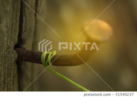 Abstract soft blurred the spiral vine and treetop  31540237