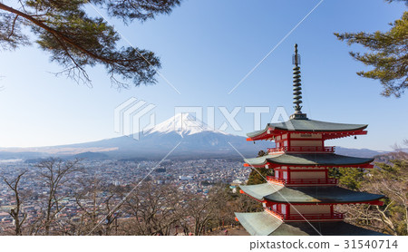 Chureito pagoda, Fuji Mountain and Fujiyshida city Chureito pagoda, Fuji Mountain and Fujiyshida city 31540714