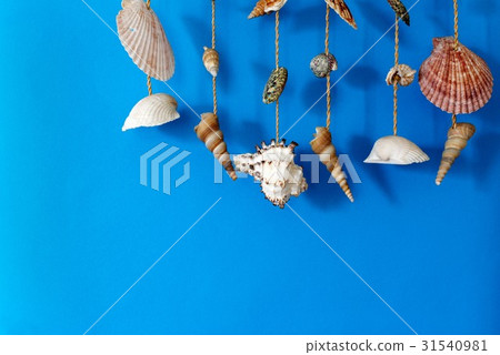 A wind chime with shells on a blue background 31540981