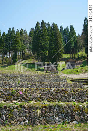 Scenery of Itakura of Kurura Scenery of Itakura of Kurura 31541425