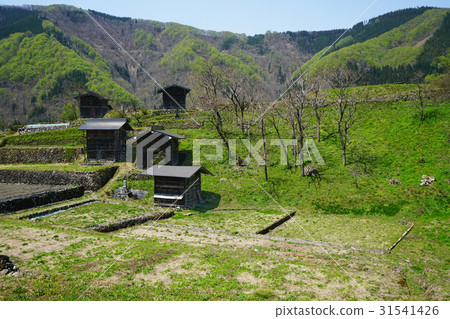 Scenery of Itakura of Kurura Scenery of Itakura of Kurura 31541426