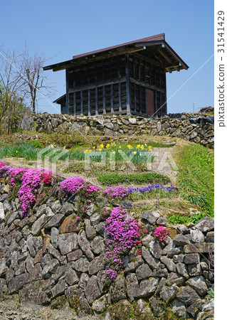 Scenery of Itakura of Kurura Scenery of Itakura of Kurura 31541429