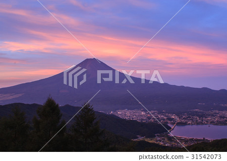 從富士吉田的森林公路的紅富士 從富士吉田的森林公路的紅富士 31542073