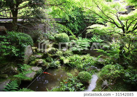 Hohsengumi Tsurugame花園 Hohsengumi Tsurugame花園 31542085