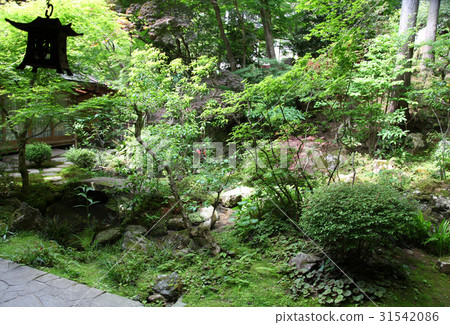 Hohsengumi Tsurugame花園 Hohsengumi Tsurugame花園 31542086