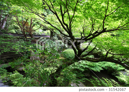 Hohsengumi Tsurugame Garden 31542087