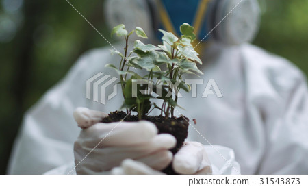 Biochemist holding small plant Biochemist holding small plant 31543873