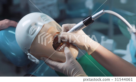 Student practicing dentistry on a medical dummy Student practicing dentistry on a medical dummy 31544061