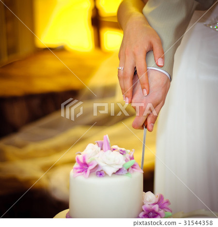 Wedding moment with cake Wedding moment with cake 31544358