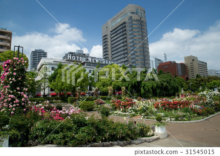 山下公園中央廣場花壇和傳統酒店 31545015