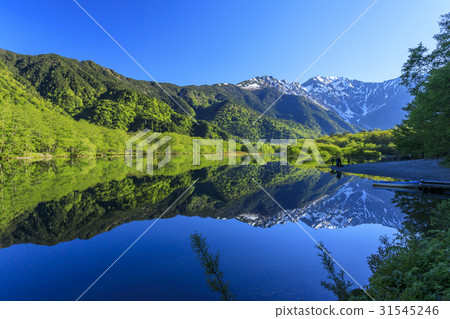 Kamikochi新鮮綠色 31545246