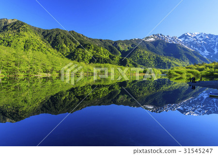 Kamikochi新鮮綠色 31545247