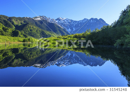 Kamikochi新鮮綠色 31545248