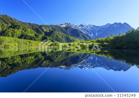 Kamikochi新鮮綠色 31545249