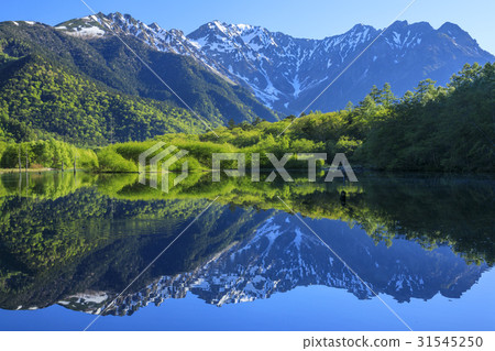 Kamikochi新鮮綠色 Kamikochi新鮮綠色 31545250