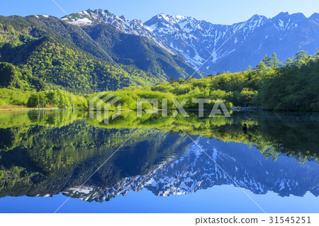 Kamikochi新鮮綠色 31545251