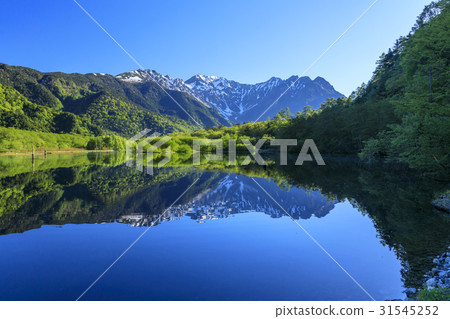 Kamikochi新鮮綠色 Kamikochi新鮮綠色 31545252