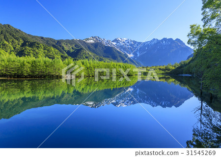 Kamikochi Fresh green 31545269