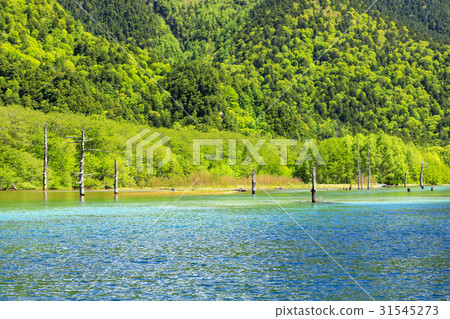 Kamikochi新鮮綠色 Kamikochi新鮮綠色 31545273