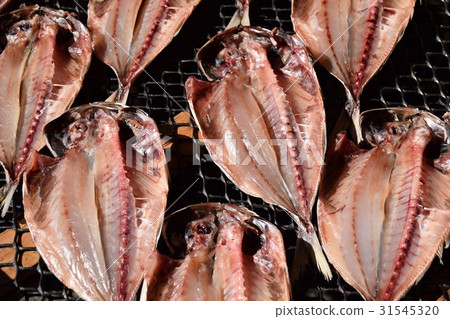 Opening of horse mackerel 31545320