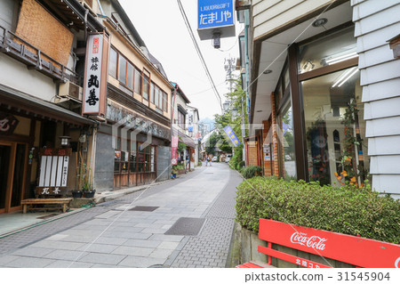 Yamanouchi village view 31545904