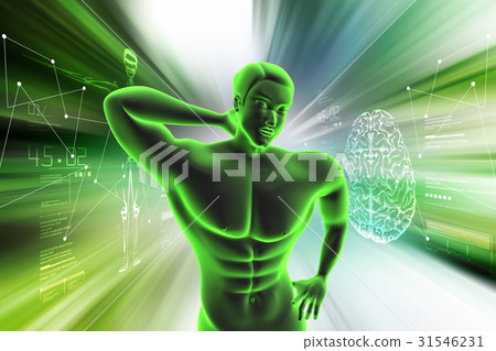 Human body Human body 31546231