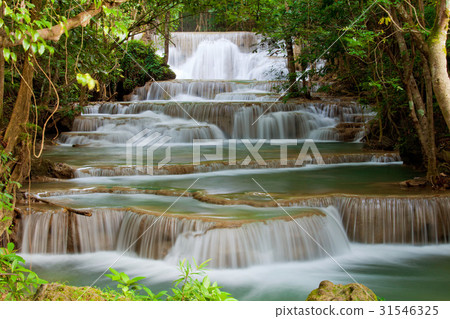 Deep forest Waterfall Deep forest Waterfall 31546325