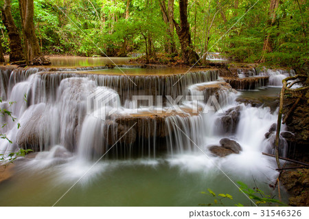 Deep forest Waterfall 31546326