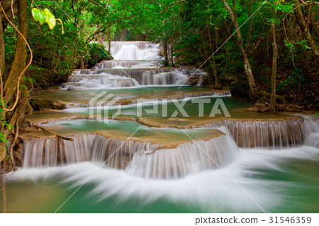 Deep forest Waterfall 31546359