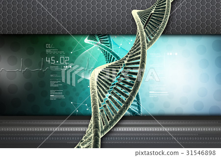 Dna structure Dna structure 31546898