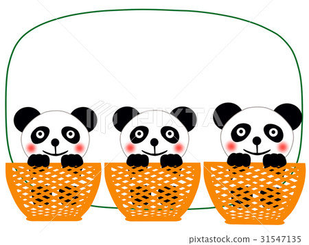 貓熊 31547135