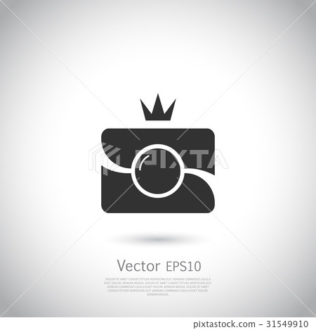 Camera Icon in trendy flat style isolated on grey Camera Icon in trendy flat style isolated on grey 31549910