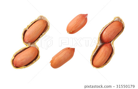 peanuts in open shell peanuts in open shell 31550179