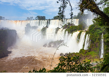 famous Iguacu falls 31550591