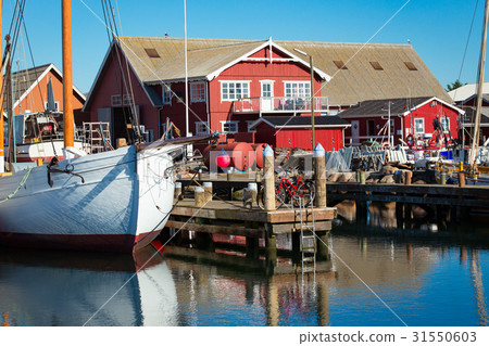 harbor with fishing boats at the north of Denmark 31550603