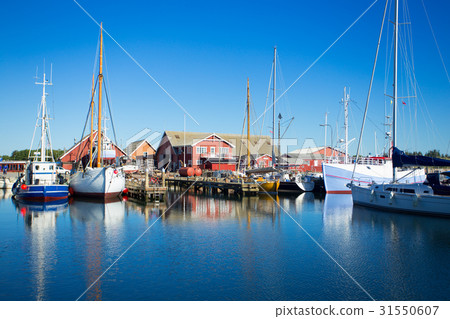 harbor with fishing boats at the north of Denmark harbor with fishing boats at the north of Denmark 31550607