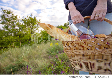 Picnic in the meadow 31550624