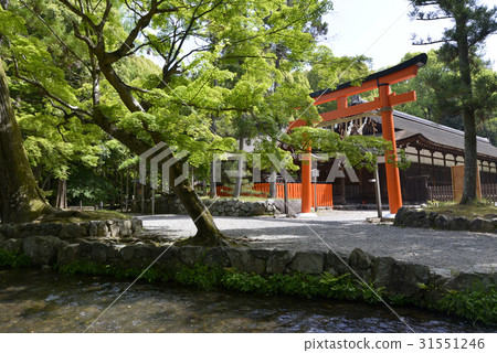 Kamigamo Shrine Kamigamo Shrine 31551246