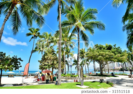 Holidays in Hawaii Holidays in Hawaii 31551518