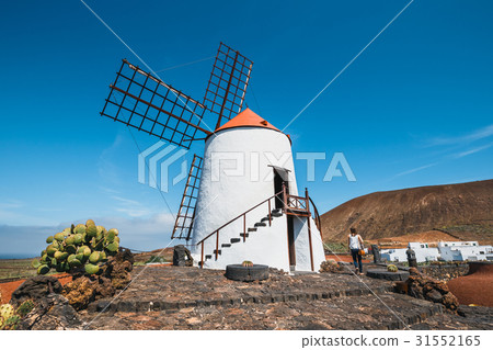 Windmill in cactus garden in Guatiza village 31552165