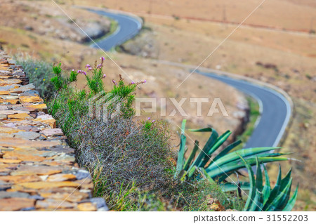 mountains of Betancuria, Fuerteventura, Spain 31552203