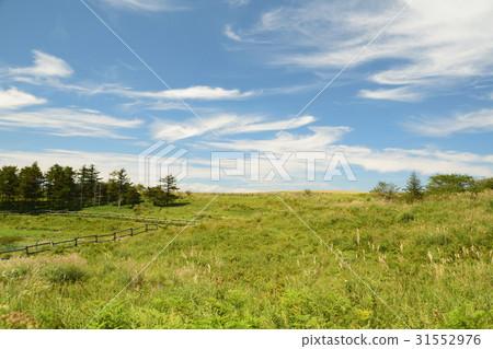 高Botch高原夏末 31552976