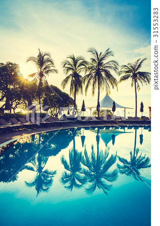 Silhouette coconut palm tree around swimming pool Silhouette coconut palm tree around swimming pool 31553283