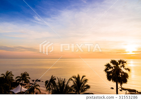 Silhouette coconut palm tree with sea and beach Silhouette coconut palm tree with sea and beach 31553286